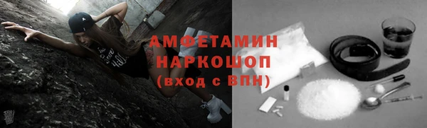 индика Ростов