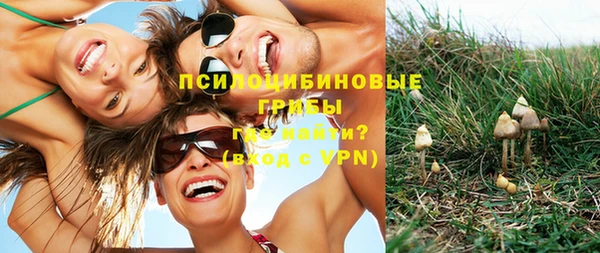 индика Ростов