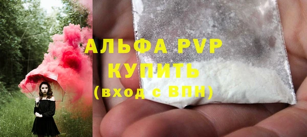 стаф Абаза
