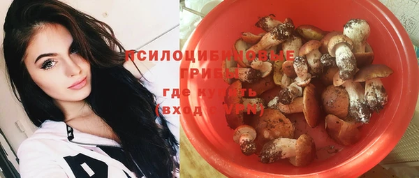 индика Ростов