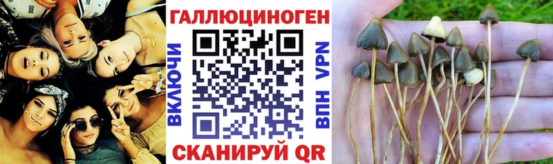 блэк спрут онион Новотроицк Галлюциногенные грибы мухоморы где продают наркотики